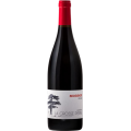 Vin rouge Morgon "Douby" de chez Pauline Passot