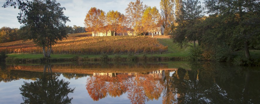 CASTILLON Côtes de Bordeaux