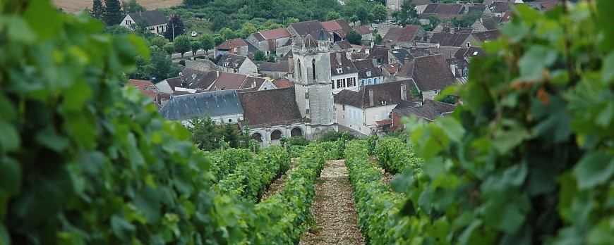 Bourgogne IRANCY